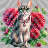 Animal Integration-DW 1910